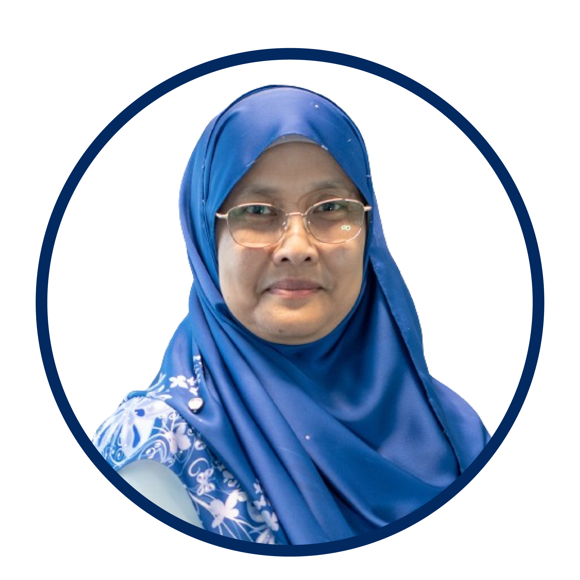 Ts Dr Aliza Sarlan