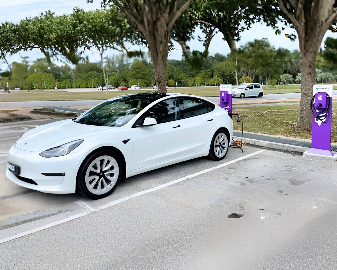 Low Carbon Campus Initiatives