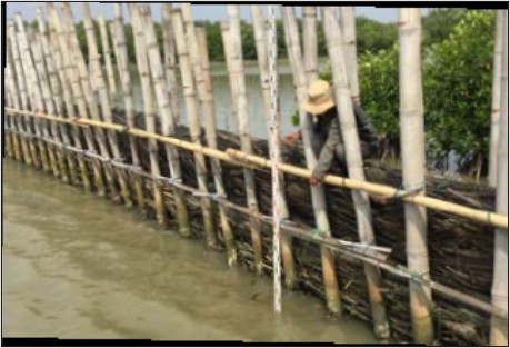 Coastal ecosystem improvement