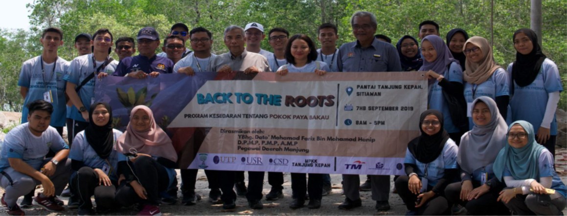 Mangrove restoration site