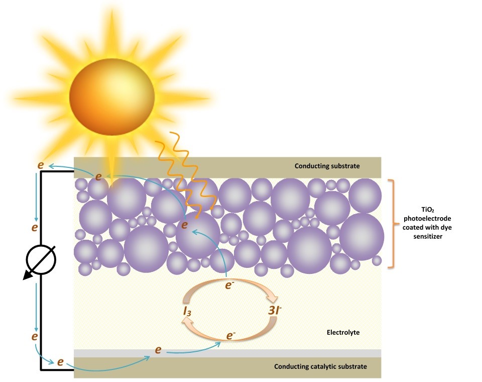 DSC Schematic