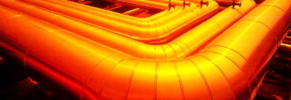 Skip Navigation LinksCentre of Enhanced Oil Recovery